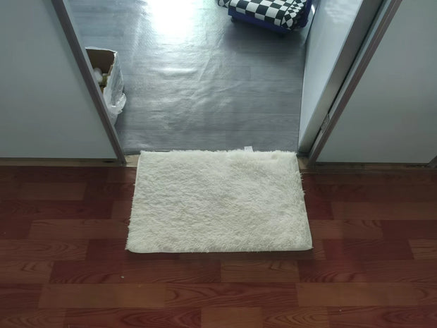 Silk Wool Floor Carpet